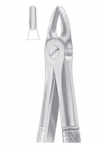 1033 Fig. 37 upper incisors for children 